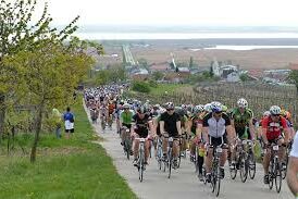 Neusiedler See Radmarathon